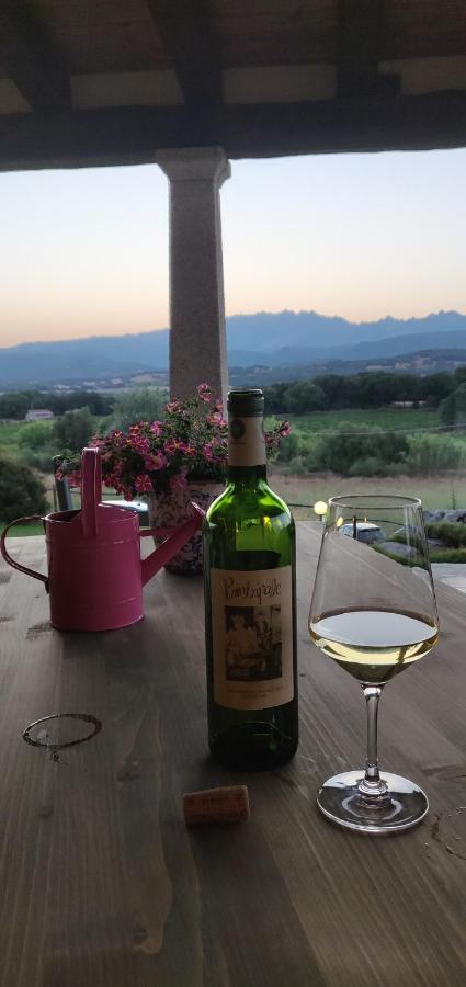 Cantina Perandria Monti Ngoại thất bức ảnh
